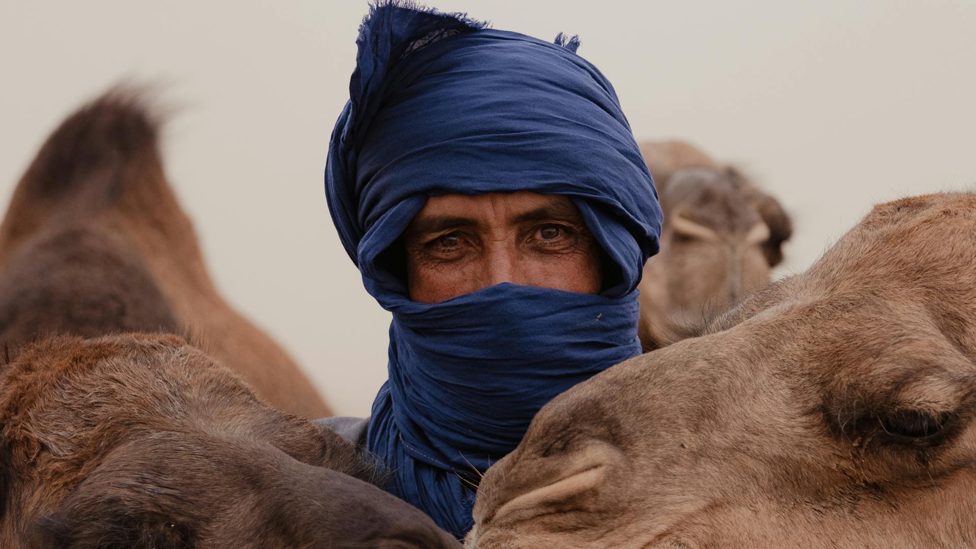 pexels-photo-13811675