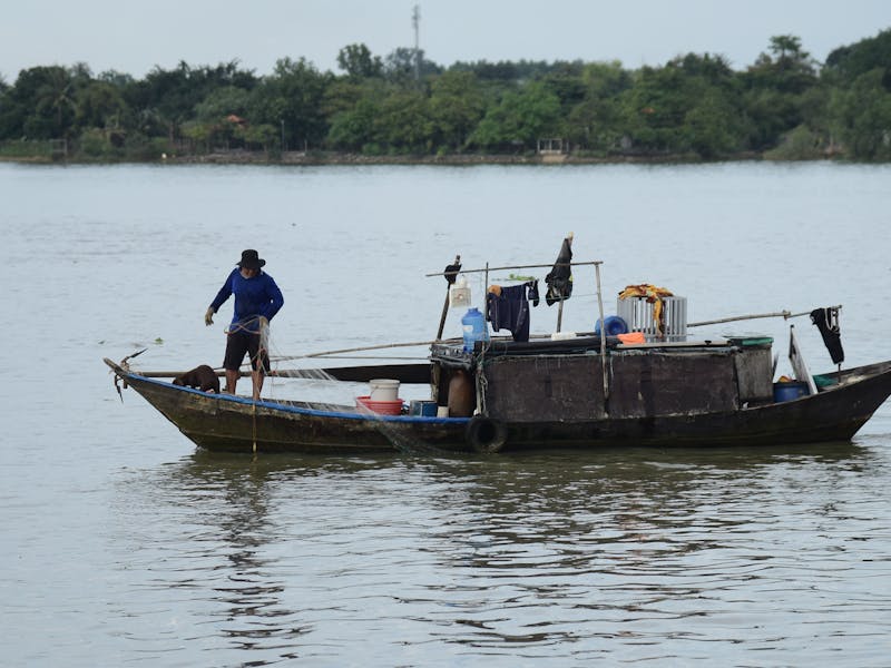 pexels-photo-34885627