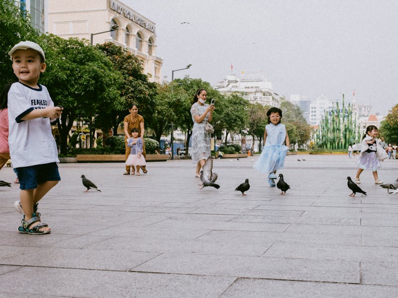 pexels-photo-34889827