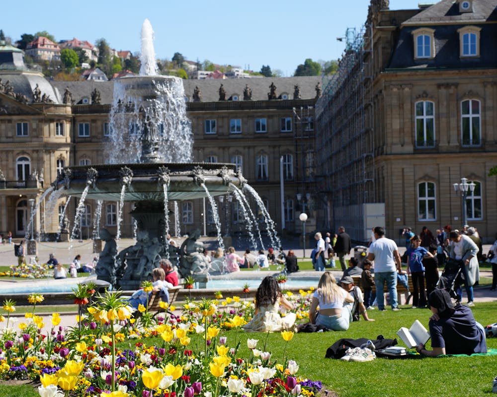 pexels-photo-34911909