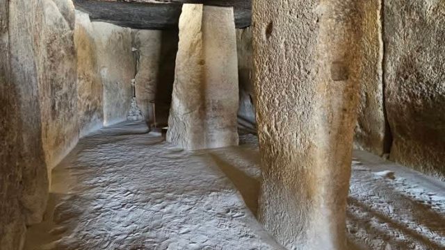 FB_IMG_1765742041932