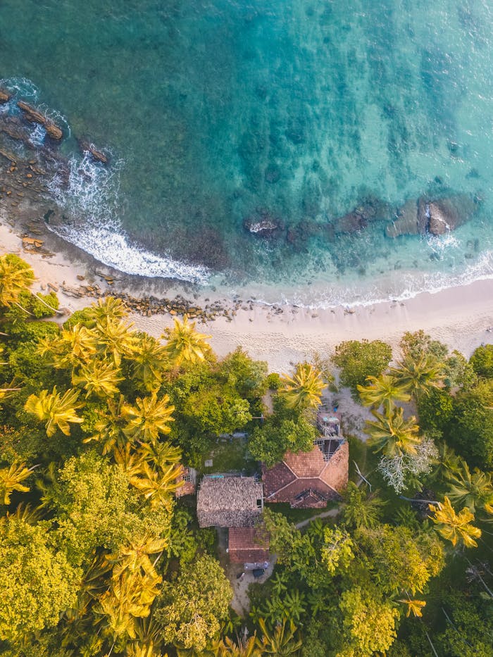 trusted-partner Breathtaking aerial view of palm-lined beach in Dambulla, Sri Lanka with turquoise waters.